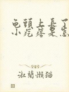 龟头上长了很多小疙瘩是怎么回事