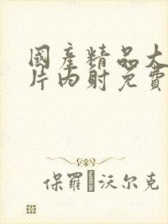 国产精品大胸大片内射免费视频