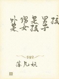 外甥是男孩子还是女孩子