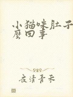 小猫咪肚子大怎么回事封面