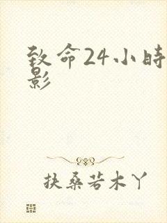 致命24小时电影