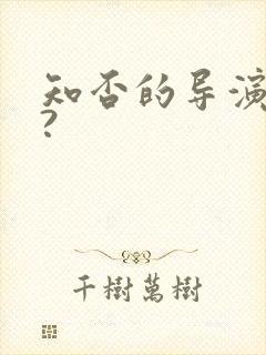 知否的导演是谁?封面