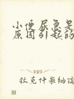 小便尿急是什么原因引起的