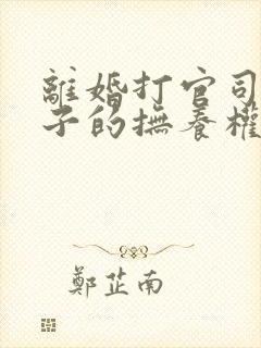 离婚打官司要孩子的抚养权