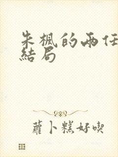 朱枫的两任丈夫结局封面