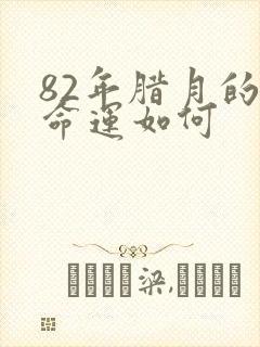 82年腊月的狗命运如何