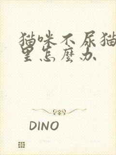 猫咪不尿猫砂盆里怎么办