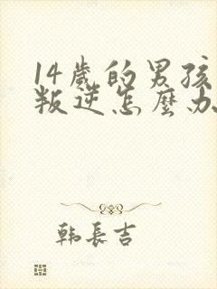 14岁的男孩子叛逆怎么办