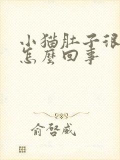 小猫肚子很胀是怎么回事