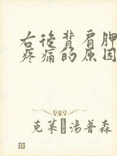 右后背肩胛骨下疼痛的原因