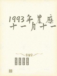 1993年农历十一月十一男命