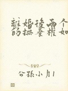 离婚后两个孩子的抚养权如何分封面