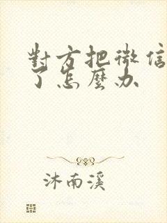 对方把微信拉黑了怎么办