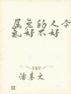 属兔的人今年运气好不好