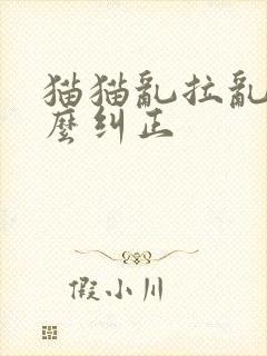 猫猫乱拉乱尿怎么纠正