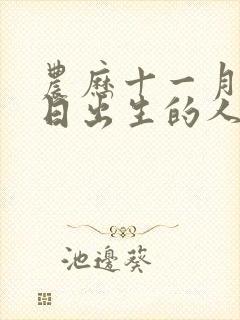 农历十一月十六日出生的人命运