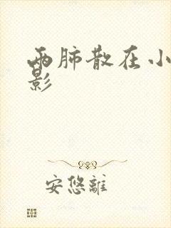 两肺散在小结节影