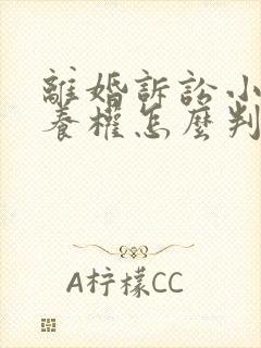 离婚诉讼小孩抚养权怎么判