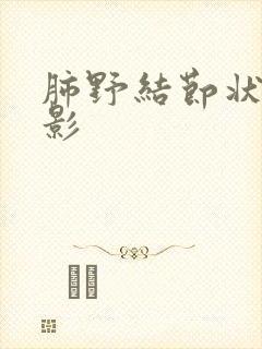 肺野结节状致密影