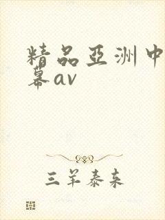 精品亚洲中文字幕av