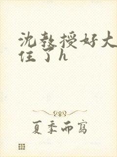 沈教授好大含不住了h