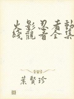 火影忍者动漫在线观看全集免费下载封面