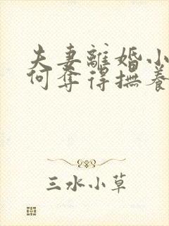 夫妻离婚小孩如何夺得抚养权