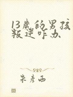 13岁的男孩子叛逆咋办封面