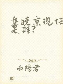 龚晓京现任丈夫是谁?