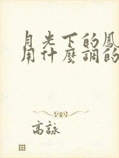 月光下的凤尾竹用什么调的葫芦丝吹