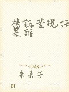 杨钰莹现任丈夫是谁