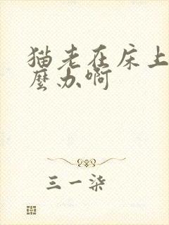 猫老在床上尿怎么办啊