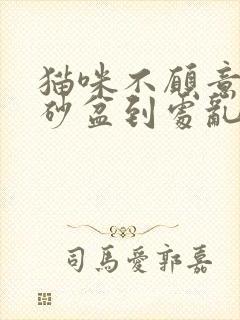 猫咪不愿意去猫砂盆到处乱尿