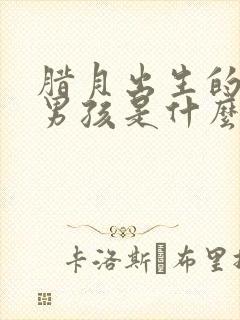 腊月出生的属蛇男孩是什么命运