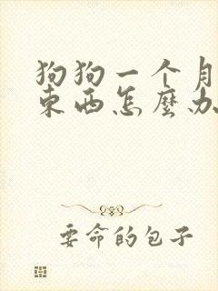 狗狗一个月不吃东西怎么办