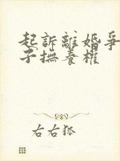 起诉离婚争夺孩子抚养权