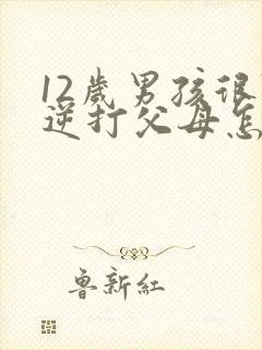 12岁男孩很叛逆打父母怎么办