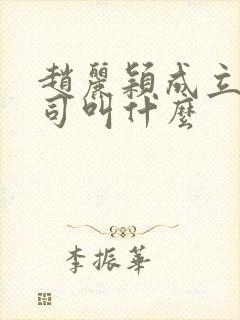 赵丽颖成立的公司叫什么