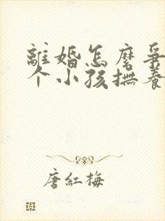 离婚怎么争取两个小孩抚养权