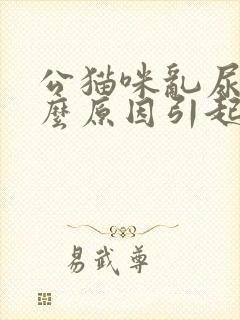 公猫咪乱尿是什么原因引起的