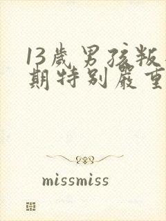 13岁男孩叛逆期特别严重怎么办