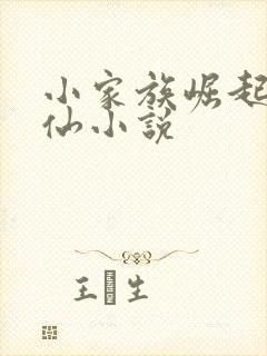 小家族崛起的修仙小说