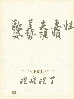 欧美夫妻性生活姿势视频