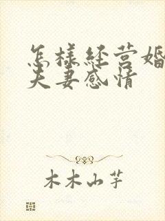 怎样经营婚姻和夫妻感情