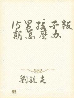 15男孩子叛逆期怎么办