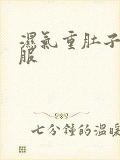 湿气重肚子不舒服