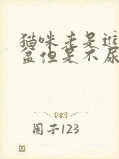 猫咪老是进猫砂盆但是不尿