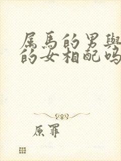 属马的男与属蛇的女相配吗