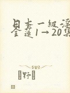 日本一级淫片潘金莲1→20集