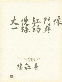 大便肛门像裂开一样的疼